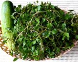 Hình bước làm 1 của món GÀ hấp nước mắm nhĩ