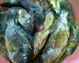 Foto langkah ke 2 dari resep Ikan goreng bumbu kuning *No-MSG* cuma ngesave takut lupa 😁.
