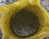 Foto del paso 1 de la receta: Sepia con ajos y vino