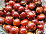 Semur jengkol Si manis pedas pujaan Hati 🤭