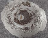 Foto del paso 3 de la receta: Pan integral