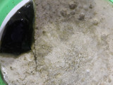 Cincau Hijau Homemade