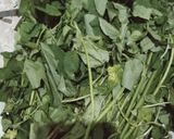 Foto langkah ke 1 dari resep Tumis daun lumai.