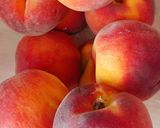 Őszibarack krémleves recept fázis 1 fotója