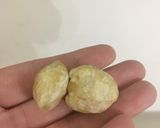 Foto langkah ke 2 dari resep Tumis pare anti pahit.