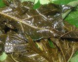 Foto langkah ke 7 dari resep Buntil Daun Pepaya dan Daun Singkong (#PR_recookmasakanpedas).