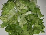 Salad Sayur