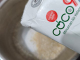 Mochi Kelapa (Miniatur Kelapa)