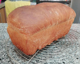 Foto del paso 8 de la receta: Pan de sándwich blanco
