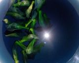Foto langkah ke 1 dari resep Cendol Kecebong Bunga Telang.