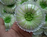 صورة لخطوة 4 من وصفة كعيكعات