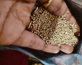 क्विनोआ पुलाव रेसिपी चरण 1 फोटो