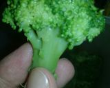 Foto del paso 1 de la receta: Mostacholes con brócoli