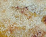 Foto del paso 6 de la receta: Pastel de carne con calabaza y puré de papas Ñammmmm!!