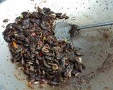 Foto langkah ke 2 dari resep Oseng Iwak Samu.