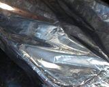 Foto del paso 4 de la receta Cabeza de cordero al horno