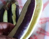 Foto langkah ke 1 dari resep Sarak Terong Khas Melayu Deli.