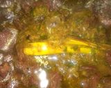Gambar langkah 9 resipi Daging Lemak Cili Api Beraroma #MAHN.