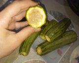 صورة لخطوة 2 من وصفة القرعة فارسي