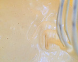 Foto del paso 4 de la receta: Tiramisú