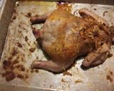 A picture of step 9 of Rock Cornish Game Hen stuffed and glazed.