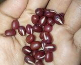 Foto langkah ke 1 dari resep Anko /Pasta Kacang Merah (Red bean paste).