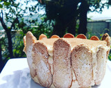 Foto del paso 15 de la receta: Tiramisú