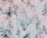 Hình bước làm 6 của món Xôi gà hoa nấu nồi cơm điện
