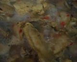 Gambar langkah 2 resipi Ayam masak lemak cili padi.