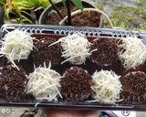 Foto langkah ke 4 dari resep Brownies kukus mini.