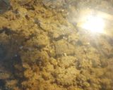 A picture of step 2 of Meat and Potatoes over Rice.