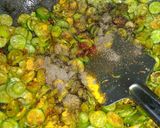 A picture of step 4 of Kundru fry.