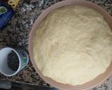 Foto del passaggio 2 della ricetta Pangoccioli