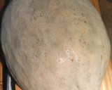 Foto del paso 1 de la receta: Dulce de Calabaza