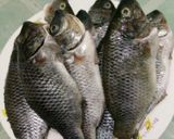 Foto langkah ke 1 dari resep Pepes Ikan Mujair.