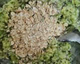 Foto del paso 3 de la receta: Humburguesas de calabacín 🥒 (zucchini) 🍔 ovolacto vegetarianas 🥚 🧀