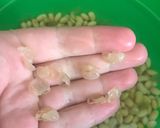 Foto del paso 2 de la receta: Leche de soja