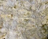 Une image de l'étape 5 de Salade Mimosa.