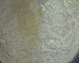 Foto langkah ke 5 dari resep Ayam Kentucky no baking soda no tepung kentucky.