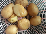 ब्रेड रोल(Bread roll recipe in hindi)