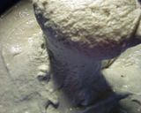 A picture of step 3 of Dan waken flour.