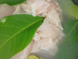 Abon ayam