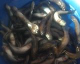 Foto langkah ke 1 dari resep Gulai Ikan Mungkus Khas Bengkulu Selatan.
