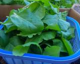 Spinach-pine nuts (palak chilgoza) recipe step 1 photo