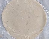 Foto del paso 6 de la receta: Deliciosos molotes