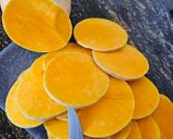 Foto del paso 1 de la receta: Lasaña con Calabaza