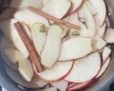 A picture of step 2 of Apple Cinnamon Tea.