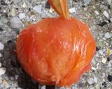 Foto del paso 2 de la receta: Tomaticán 🍅