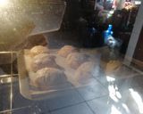 Foto del paso 21 de la receta: Conchas
