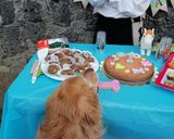 Foto del paso 2 de la receta: Cupcakes de carne aptos para perritos 👌🏼🎉